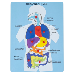BuBu Ahşap Puzzle Organlarımız - Welcome Baby