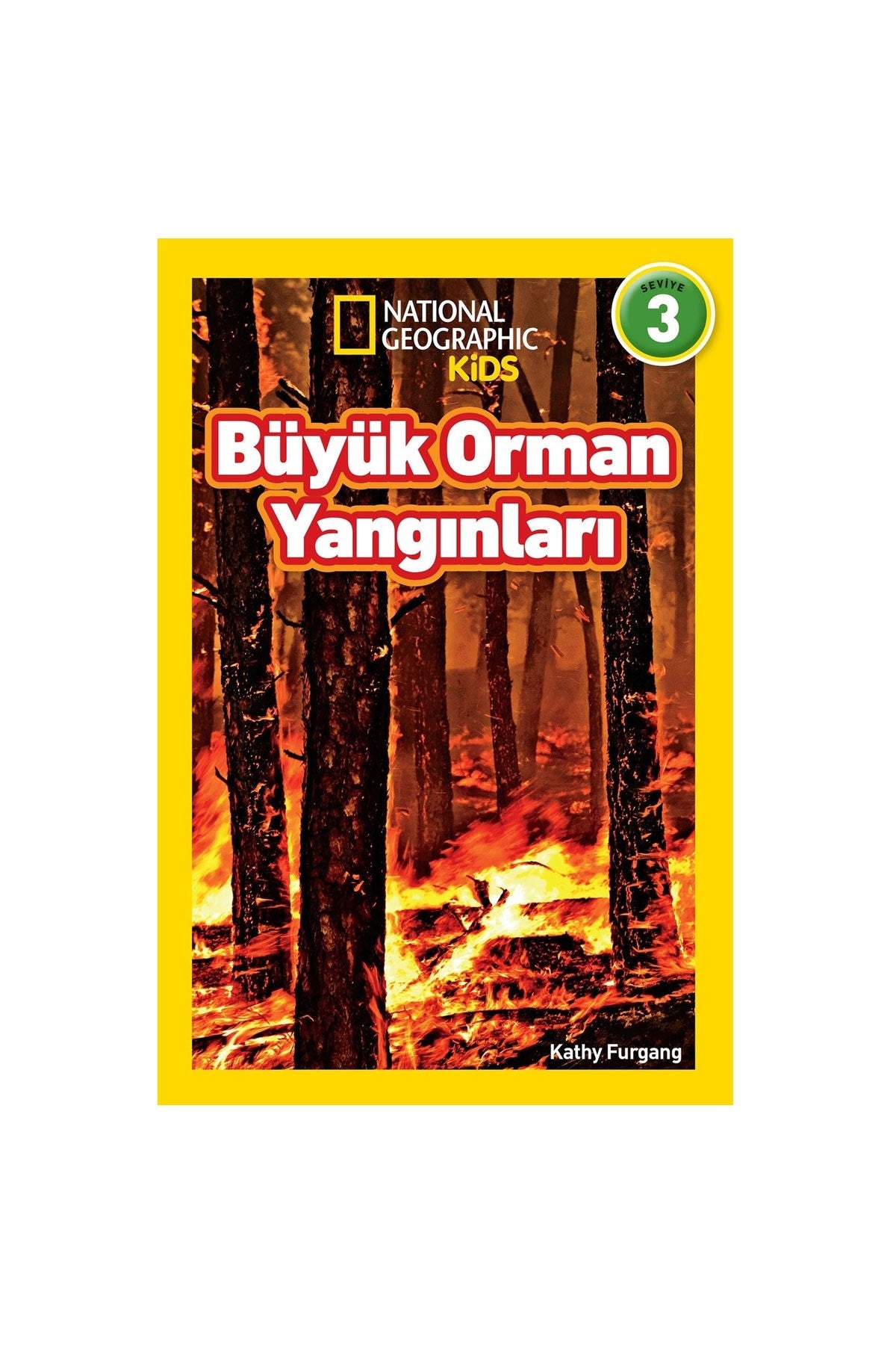 Büyük Orman Yangınları