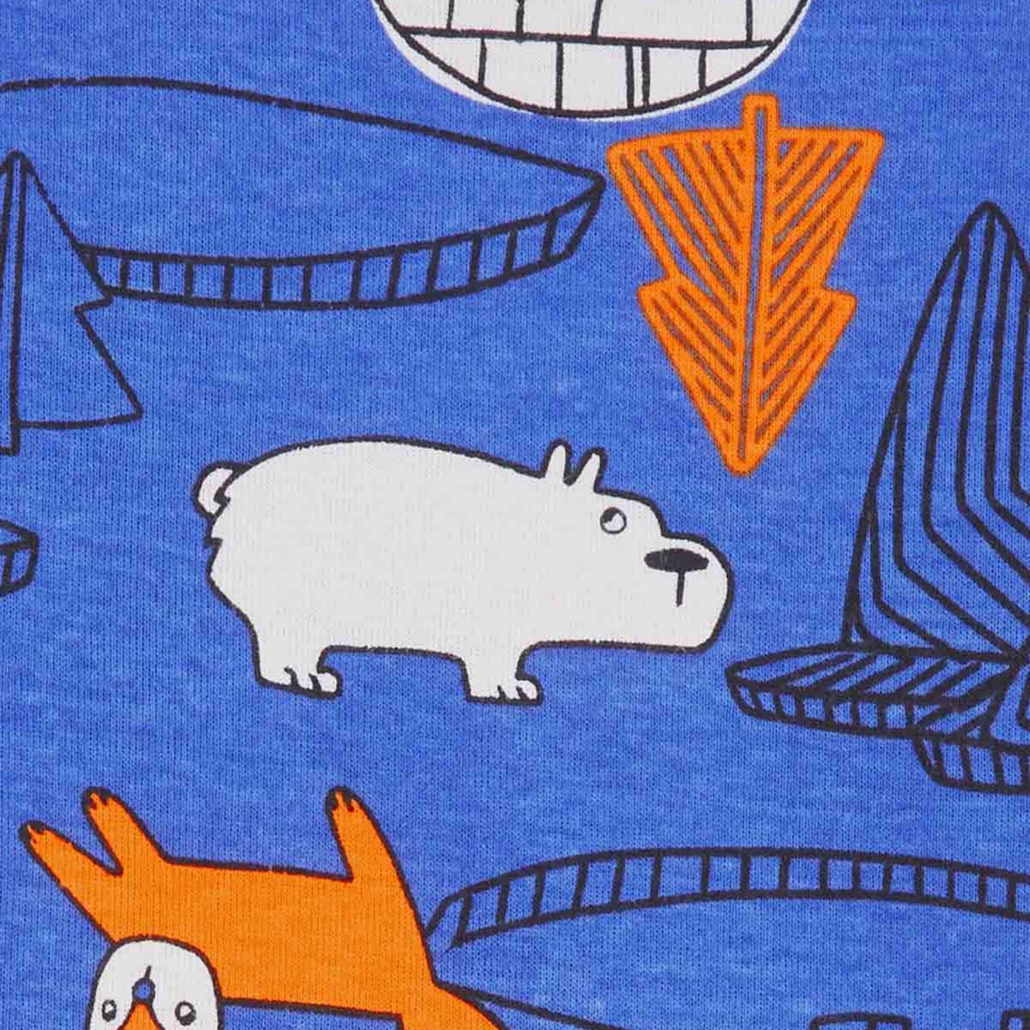Carter's Erkek Bebek 4'lü Pijama Set