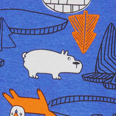 Carter's Erkek Bebek 4'lü Pijama Set