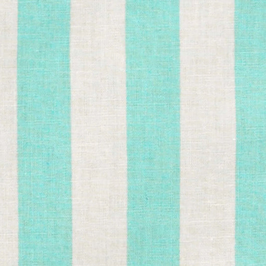 Carter's Erkek Bebek Şortlu Set