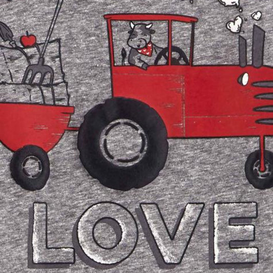 Carter's Küçük Erkek Çocuk 2'li Alt Üst Set