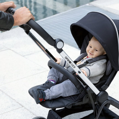 Chicco One4Ever Bebek Arabası Pirate Black