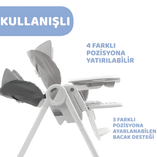 Chicco Polly 2Start Mama Sandalyesi Foxy