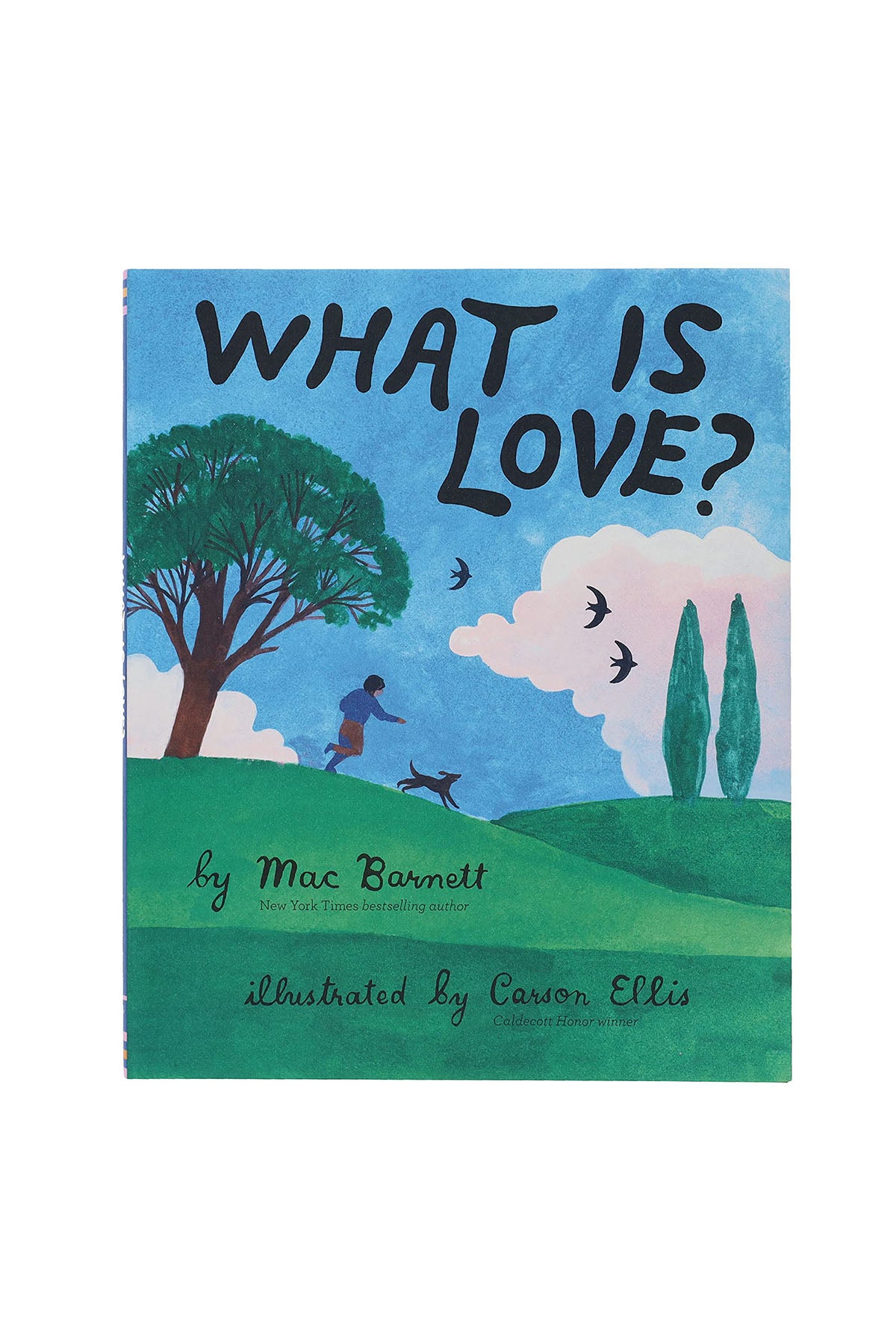 Chronicle Books What Is Love?