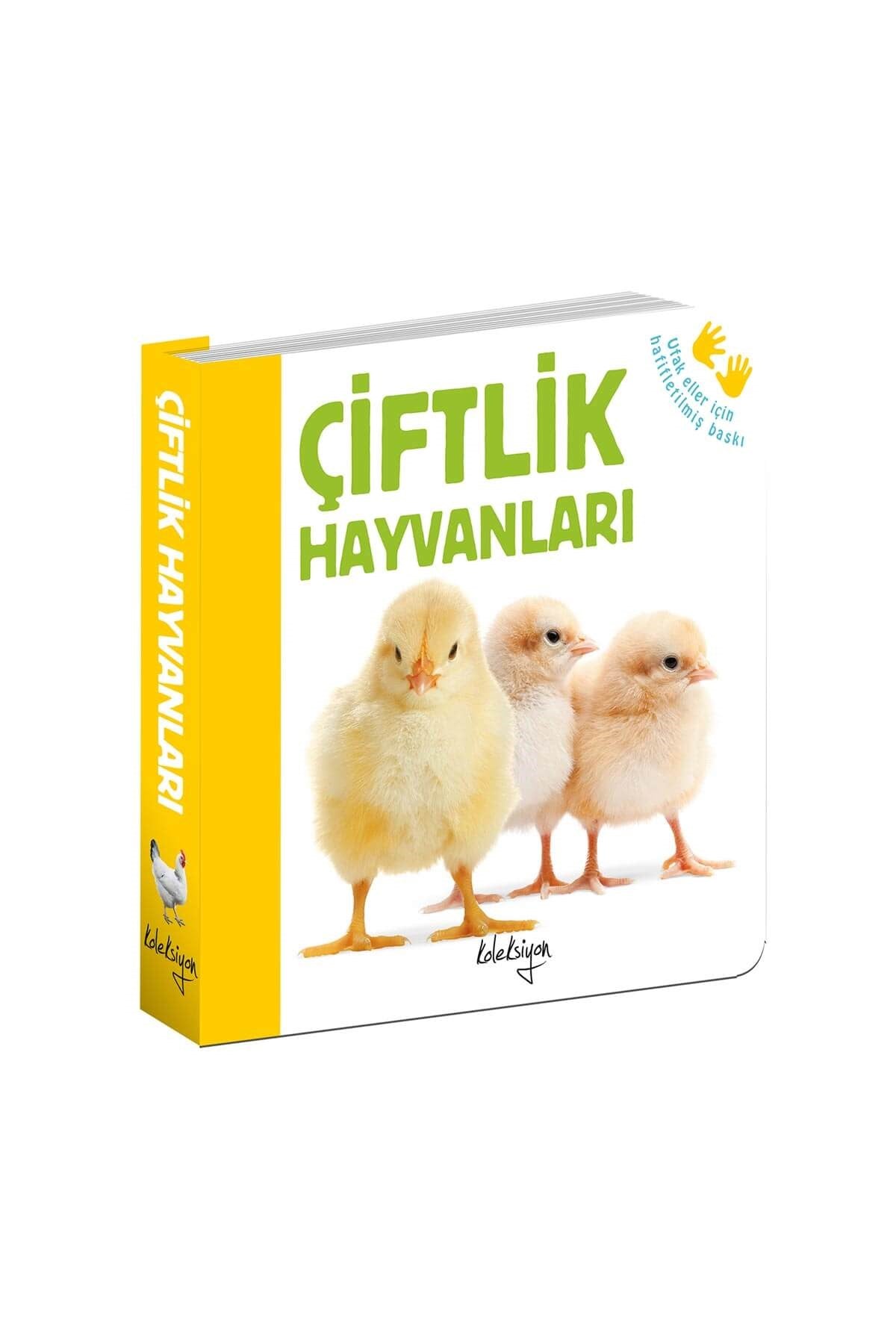 Çiftlik Hayvanları