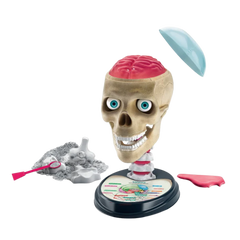 Clementoni Bilim Ve Oyun Çılgın Anatomi