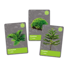 Clementoni Bilim Ve Oyun Dünyadaki Yaşamın Tarihi