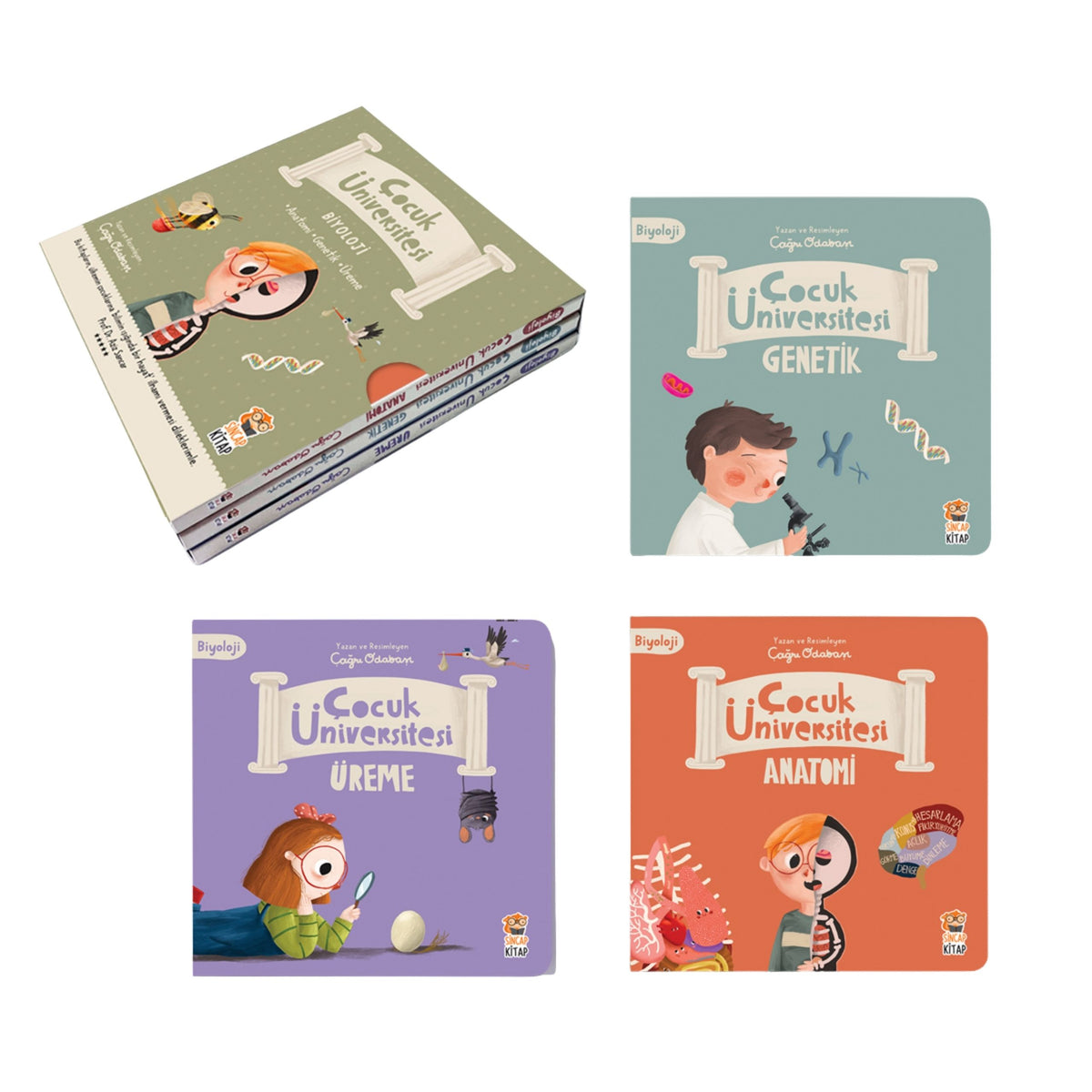 Sincap Kitap Çocuk Üniversitesi Biyoloji Set (3 Kitap)
