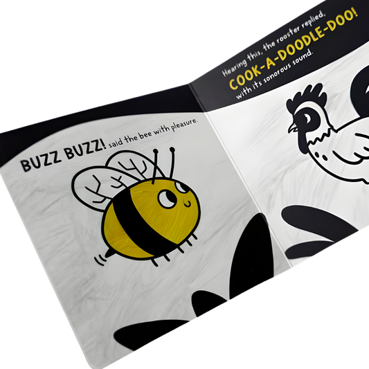 Sincap Kitap Communication Baby University First Concepts Stories