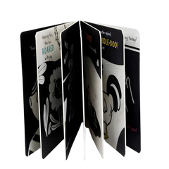 Sincap Kitap Communication Baby University First Concepts Stories