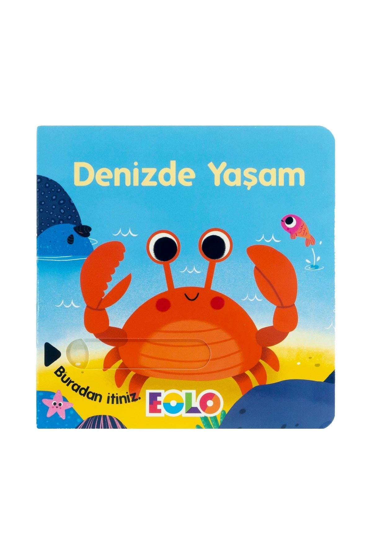 Denizde Yaşam