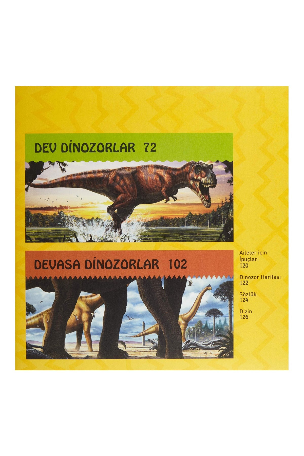 Dinozor Kitabım Dinozorlar