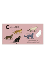 DK Yayıncılık C is for Cat