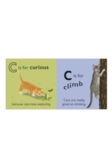 DK Yayıncılık C is for Cat