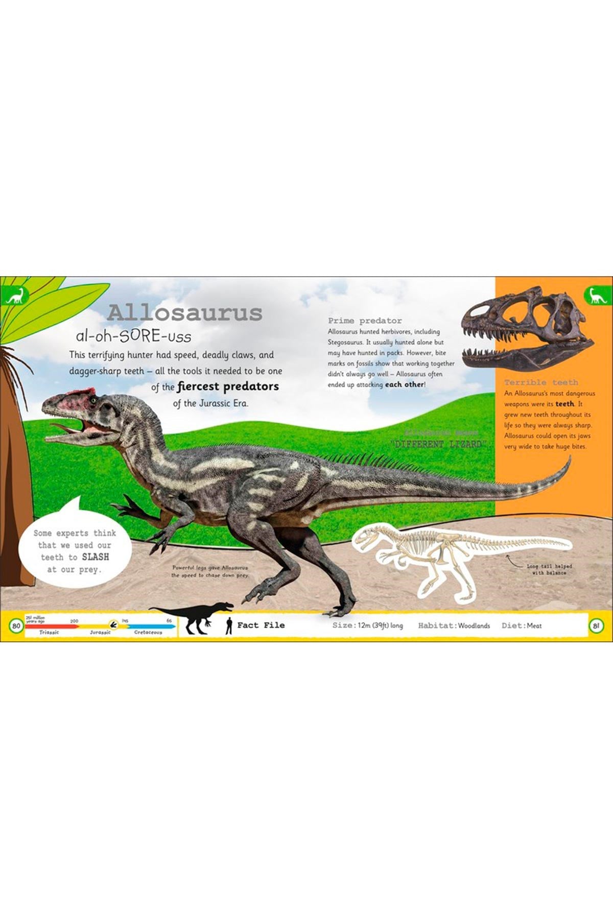 DK Yayıncılık My Encyclopedia of Very Important Dinosaurs - Welcome Baby