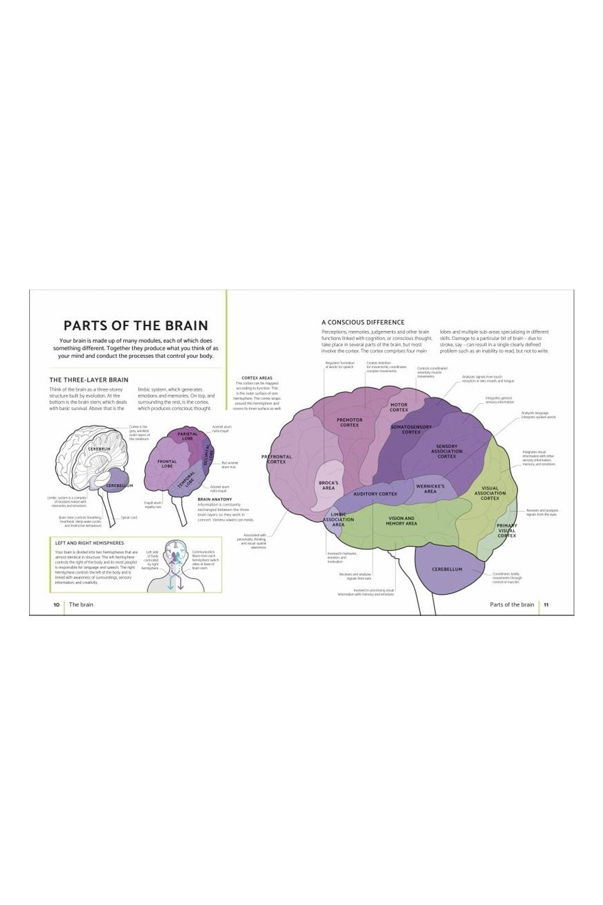 DK - The Brain Fitness Book