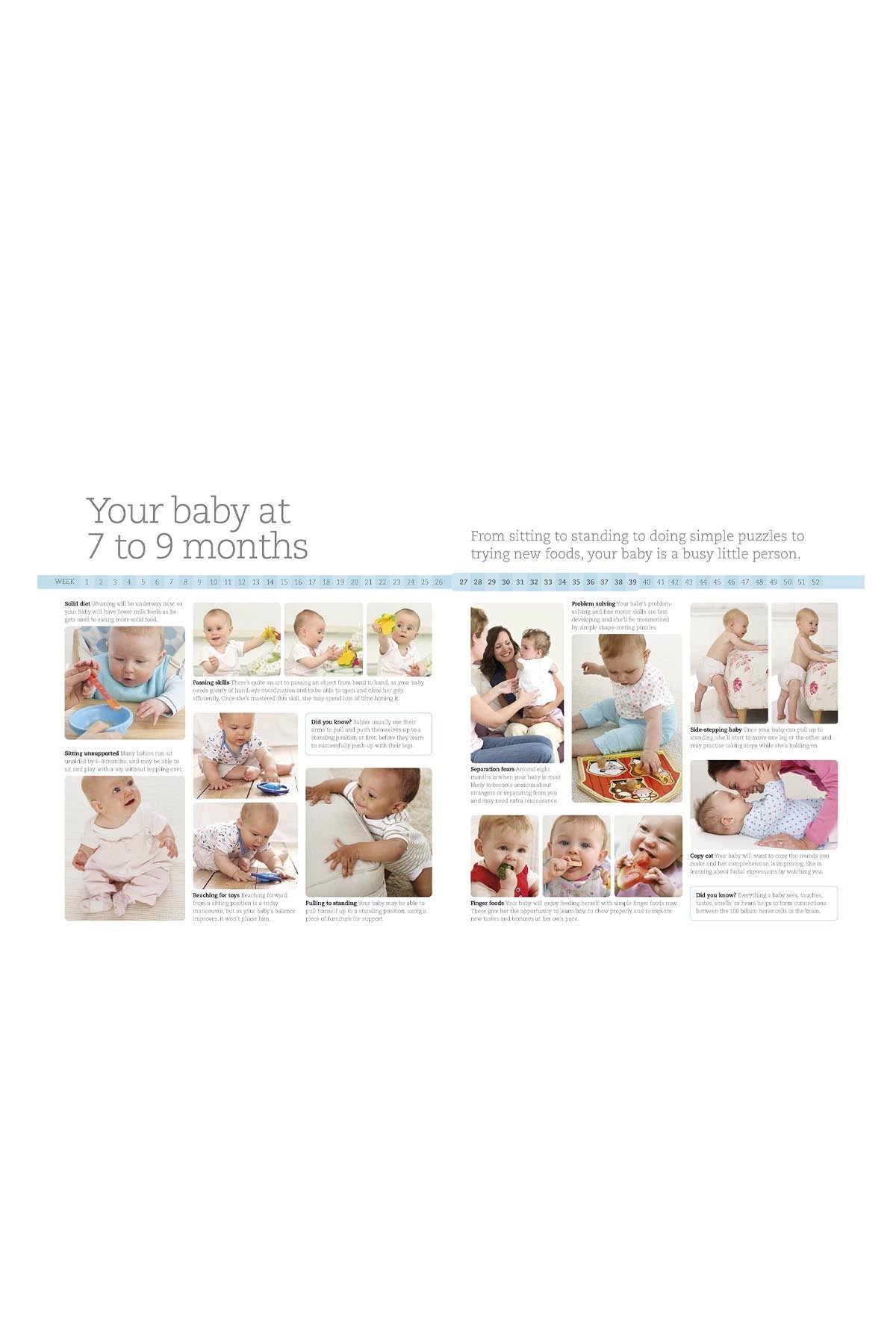 DK - The Day-By-Day Baby Book