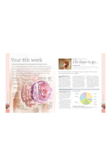 DK Yayıncılık The Day-By-Day Pregnancy Book