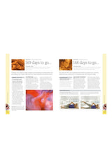 DK Yayıncılık The Day-By-Day Pregnancy Book