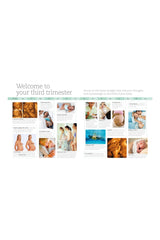 DK Yayıncılık The Day-By-Day Pregnancy Book