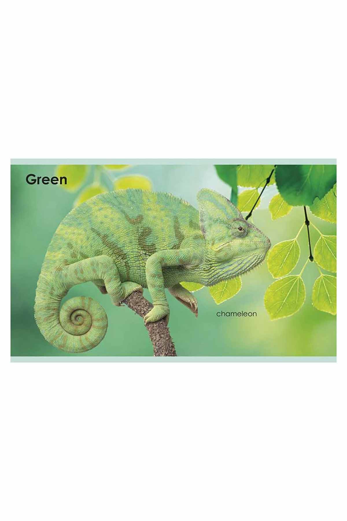DK Yayıncılık My First Colours - Welcome Baby