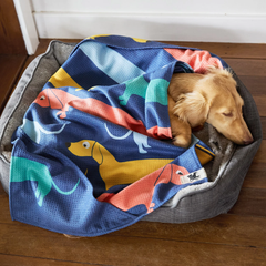 Dock And Bay Köpek Havlusu Design M Go Long