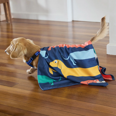 Dock And Bay Köpek Havlusu Design M Go Long