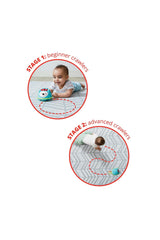 Skip Hop E&M Kirpi Emekleme Oyuncağı
