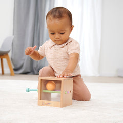 Eichhorn Montessori Ahşap Top Atma Kutusu