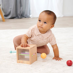 Eichhorn Montessori Ahşap Top Atma Kutusu