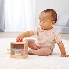 Eichhorn Montessori Ahşap Top Atma Kutusu