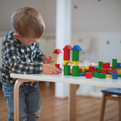 Eichhorn Renkli Ahşap Bloklar 100 Parça