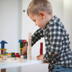 Eichhorn Renkli Ahşap Bloklar 100 Parça