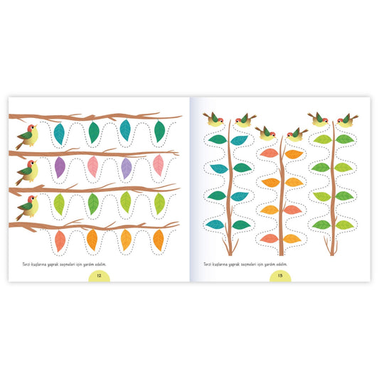 Eolo Terzi Kuşunun Dikişleri Çizgi Kitabı