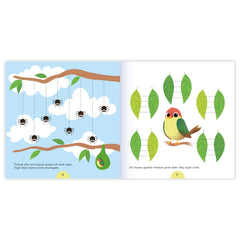 Eolo Terzi Kuşunun Dikişleri Çizgi Kitabı