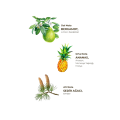Eyüp Sabri Tuncer Okyanus Kolonyası 400ml Silindir Pet Şişe