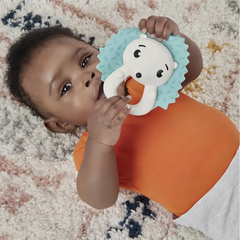 Fisher Price Eğlenceli Dostlar Dişlik ve Çıngıraklar Hkd72