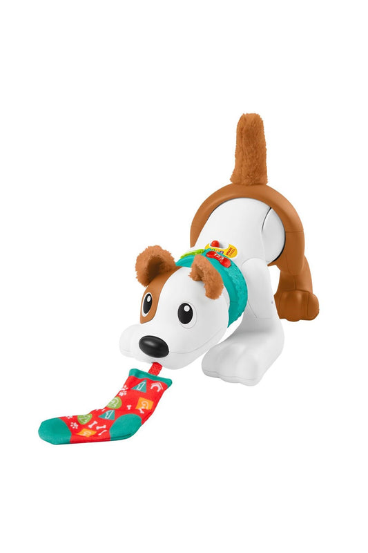 Fisher Price Emeklemeyi ve Saymayı Öğreten Köpekçik Hhh13