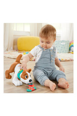 Fisher Price Emeklemeyi ve Saymayı Öğreten Köpekçik Hhh13