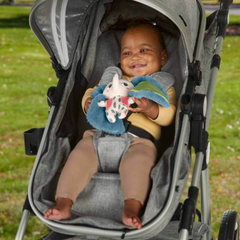 Fisher Price Koca Kulaklı Pelüş Dostum Hkd63