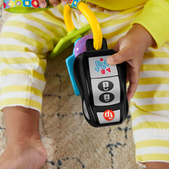 Fisher Price Lnl Eğlenceli Aktivite Anahtarı Hwy40