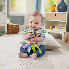 Fisher Price Lnl Eğlenceli Aktivite Anahtarı Hwy40