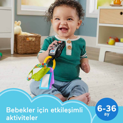 Fisher Price Lnl Eğlenceli Aktivite Anahtarı Hwy40