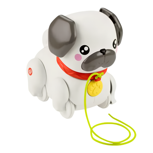 Fisher Price Minik Dostumla Yürüyüş Htw94