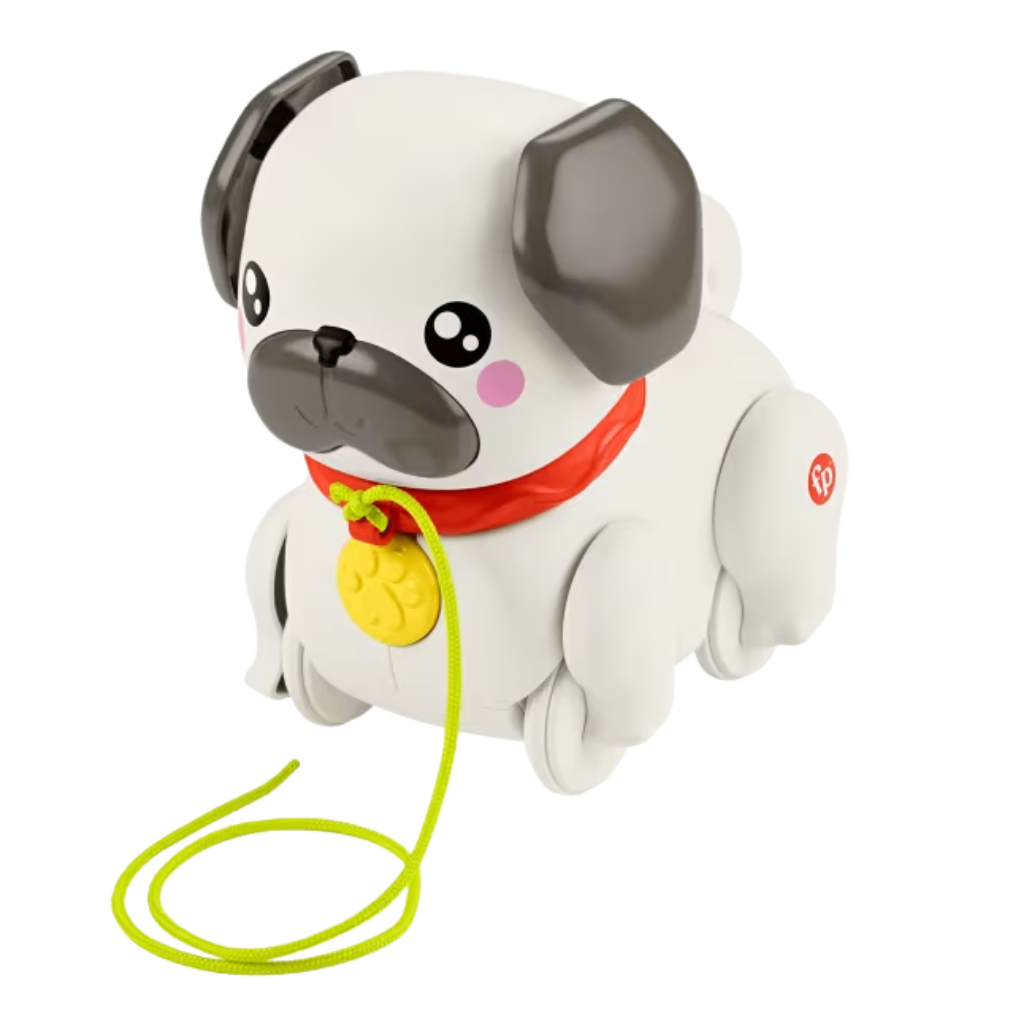 Fisher Price Minik Dostumla Yürüyüş Htw94