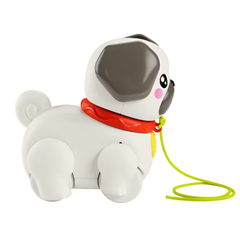 Fisher Price Minik Dostumla Yürüyüş Htw94