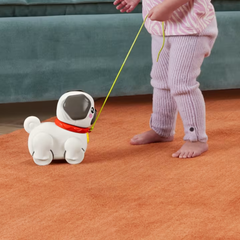 Fisher Price Minik Dostumla Yürüyüş Htw94