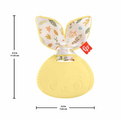 Fisher Price Sensimals Dişlik Seti Hrb20