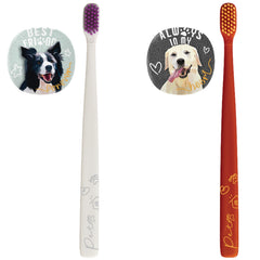 Flipper Diş Fırçası Saklama Kabı Fırça Seti